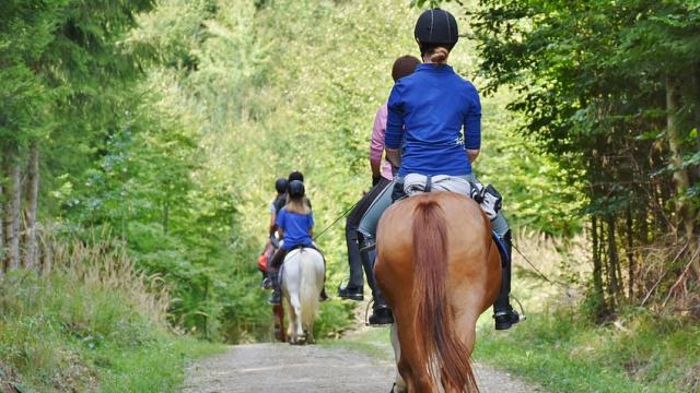 Chevaux et cavaliers en balade