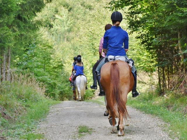 Chevaux et cavaliers en balade