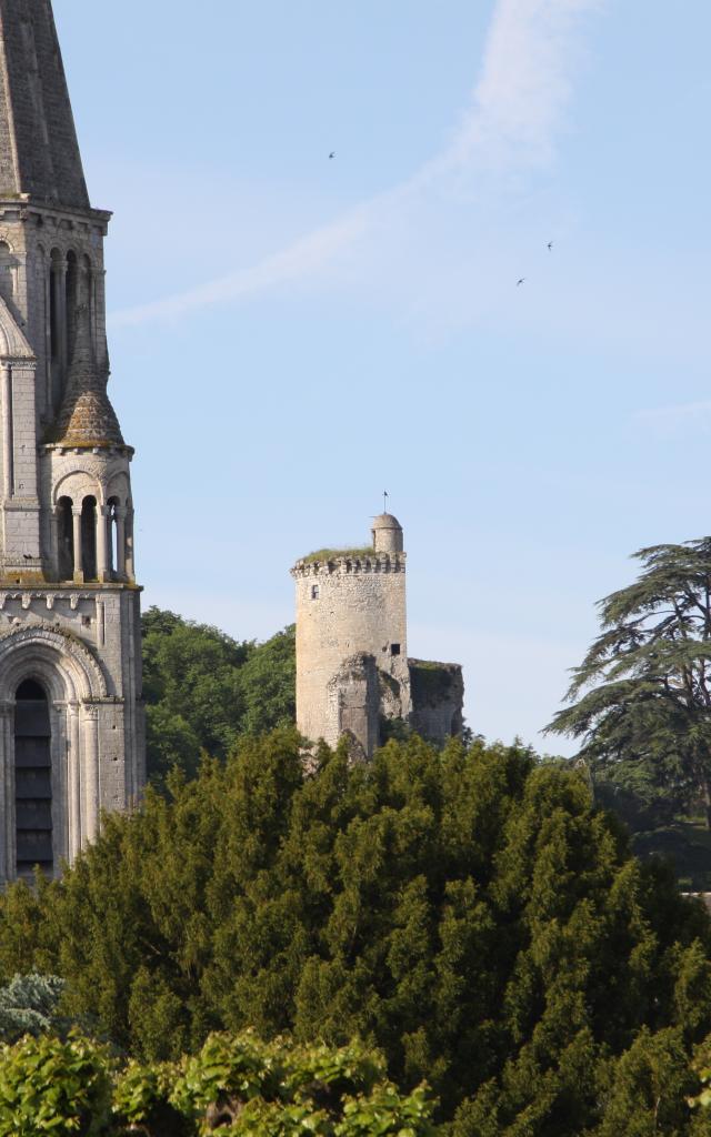 Château des Bourbon-Vendôme