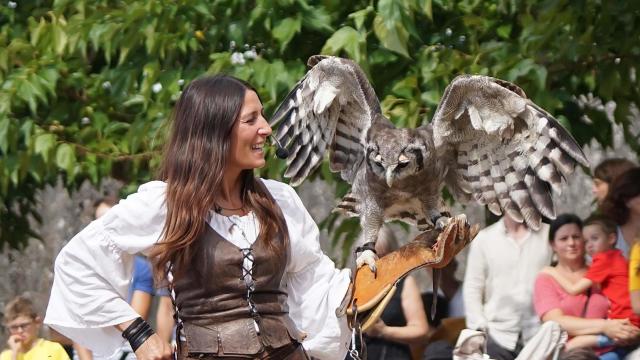Spectacle d'une femme avec un faucon