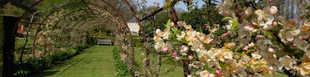 Jolies fleurs au premier plan sur une arche et bâtisse à l'arrière plan