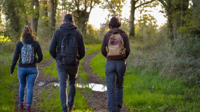 Randonnée pédestre sur le circuit du Vieux Bocage