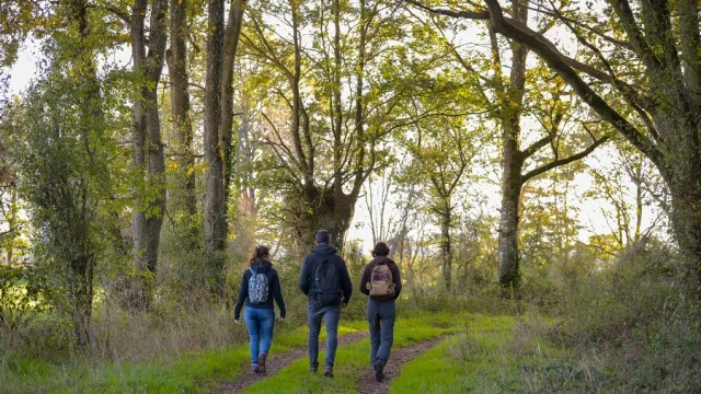 Randonnée pédestre sur le circuit du Vieux Bocage