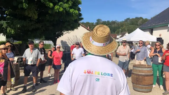 Vignes Vins Randos en Vallée du Loir