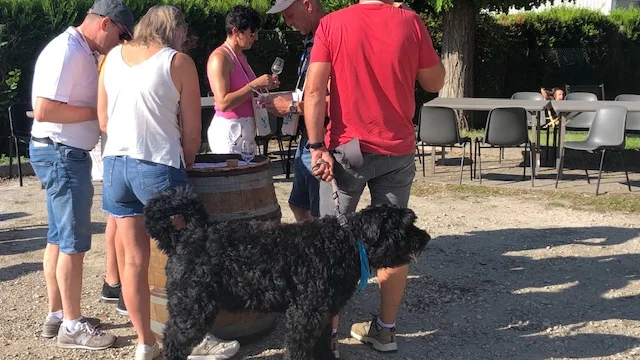 Vvr 2023 Dans Le Vallee Du Loir C.gontier Vendome Tourisme