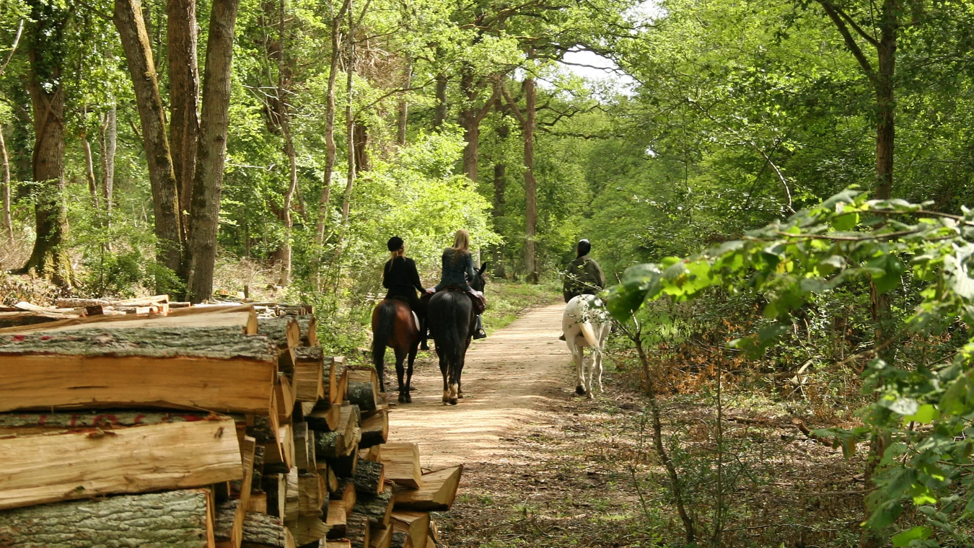 Randonnée à cheval