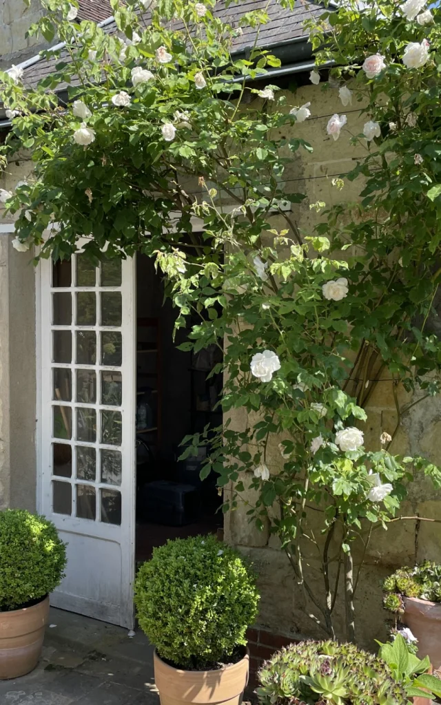 Devanture d'une maison avec fleurs
