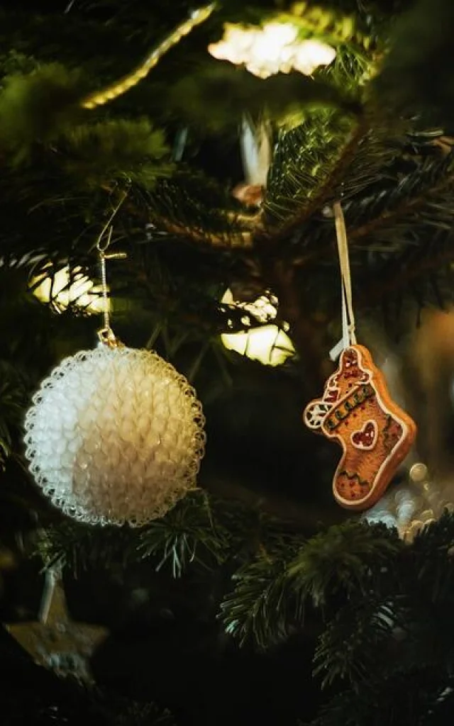 495965103 1238900094911496 4187258672197849137 N