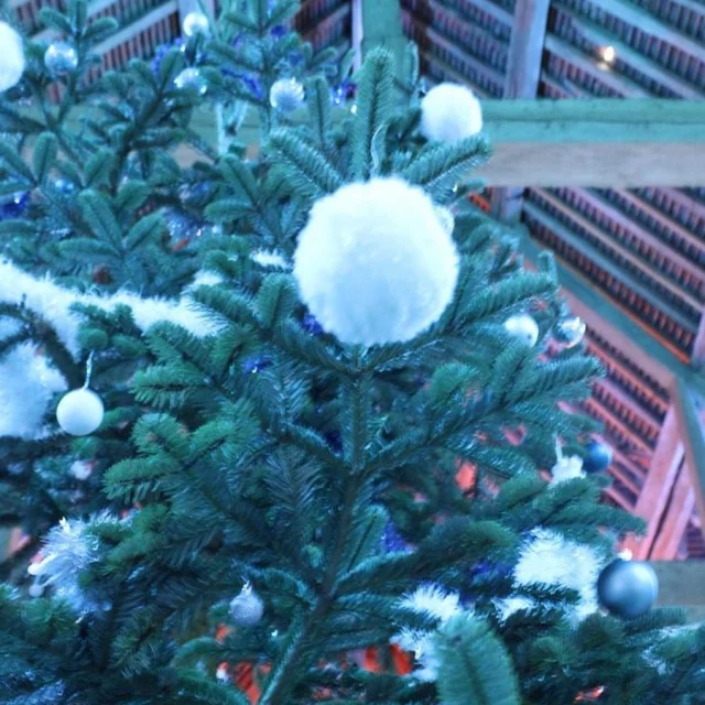 Zoom sur un sapin de Noël