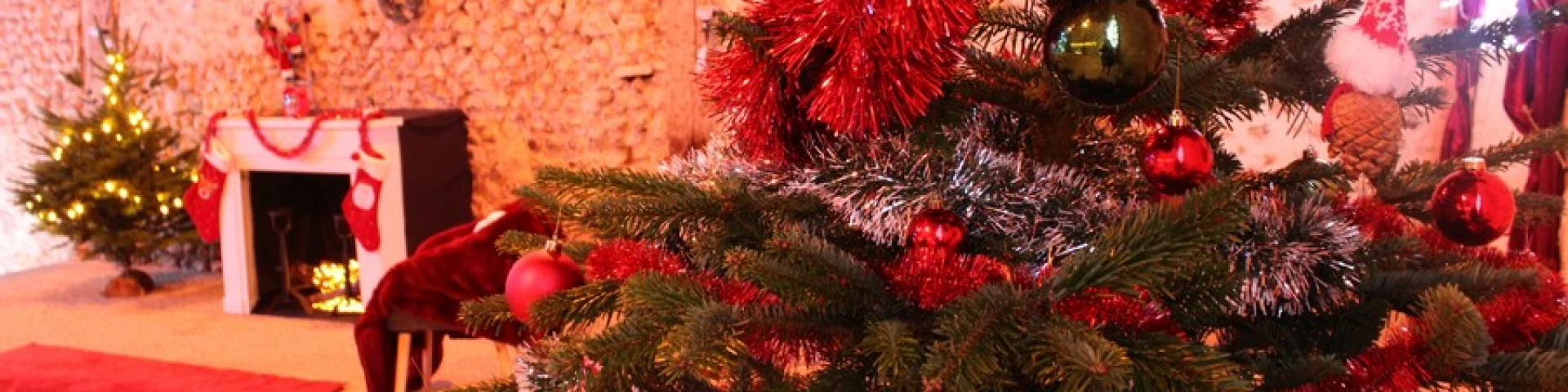 Noel De Folie Commanderie Darville C.gontier Vendome Tourisme 26