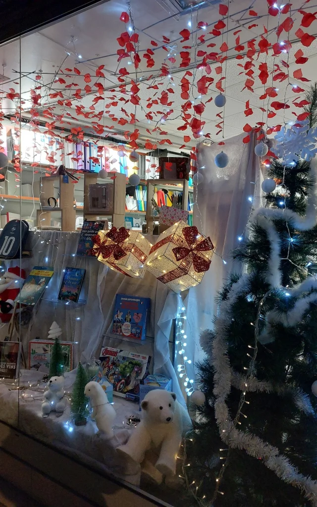 Vitrine de Noël d'un commerce
