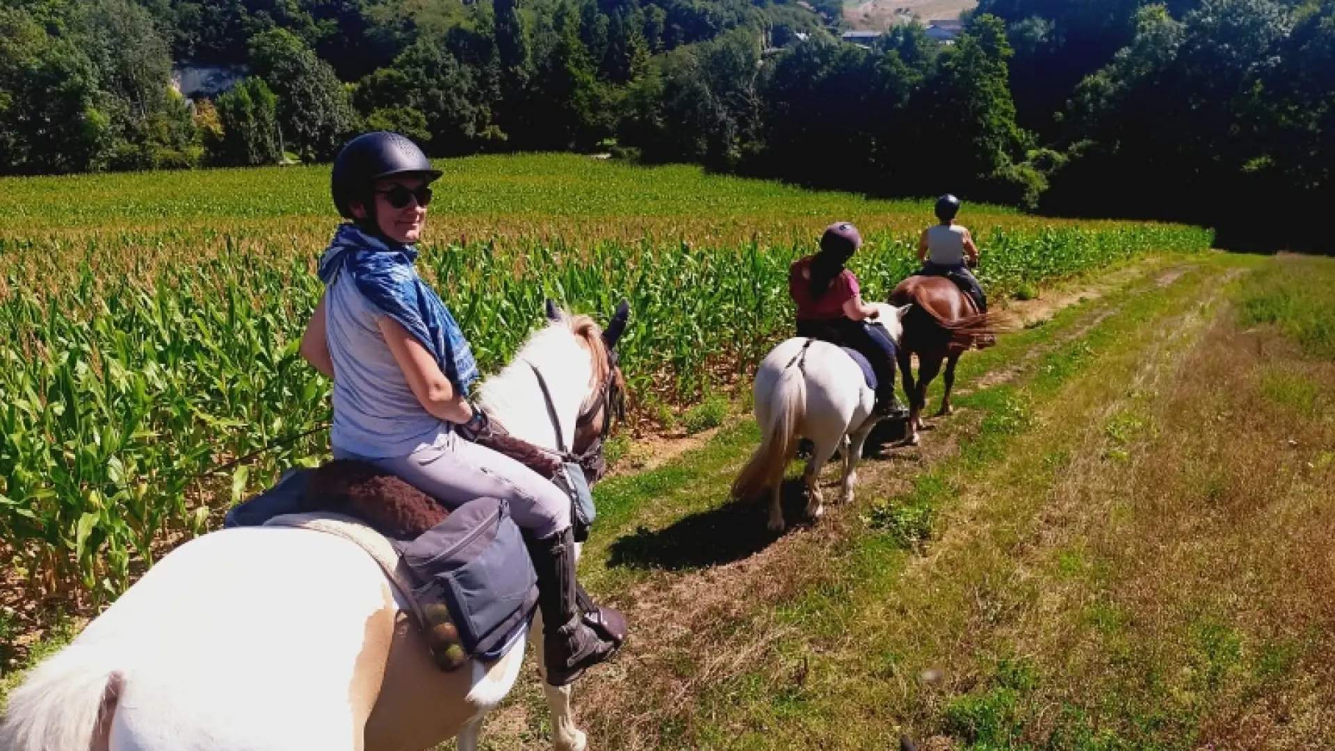 Balade à cheval dans la campagne avec 3 chevaux dont le dernier la cavalière nous regarde