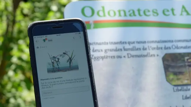 Circuit Guidigo Saint Firmin Des Pres