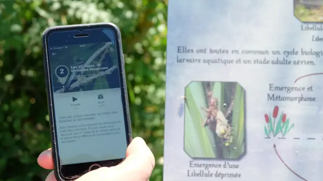 Circuit Guidigo Saint Firmin Des Pres