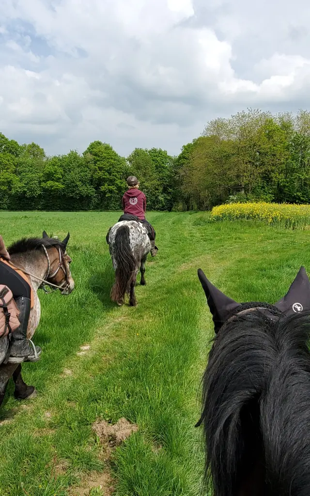 Balade à cheval dans le Vendômois
