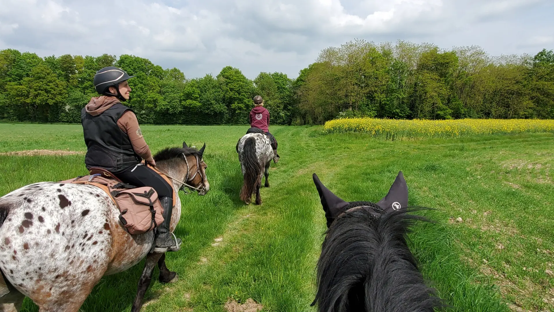 Balade à cheval dans le Vendômois