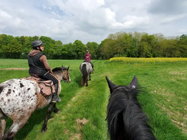 Balade à cheval dans le Vendômois
