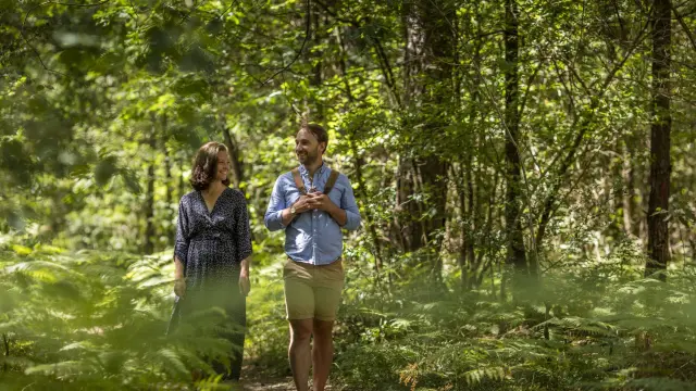 rando en forêt