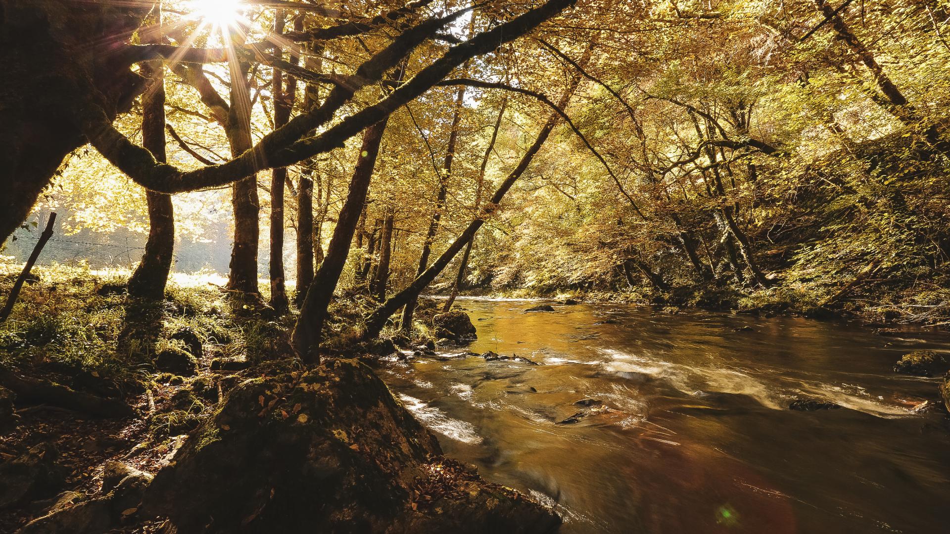 SaintHilaireFoissac VentadourEgletonsMonédières en Corrèze