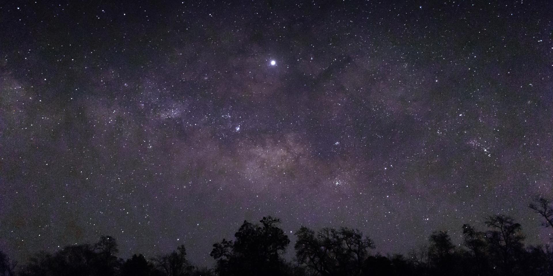 Ciel étoilé laissant apparaître l'ombre des arbres et de la nature