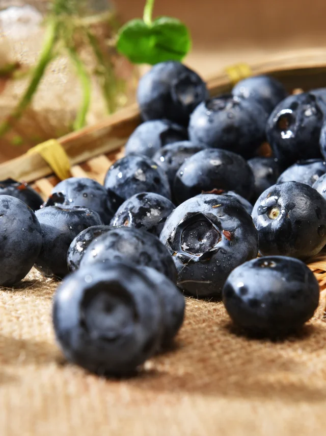 Food composition with blueberries