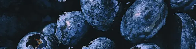 Pexels Fotios Photos 1395958