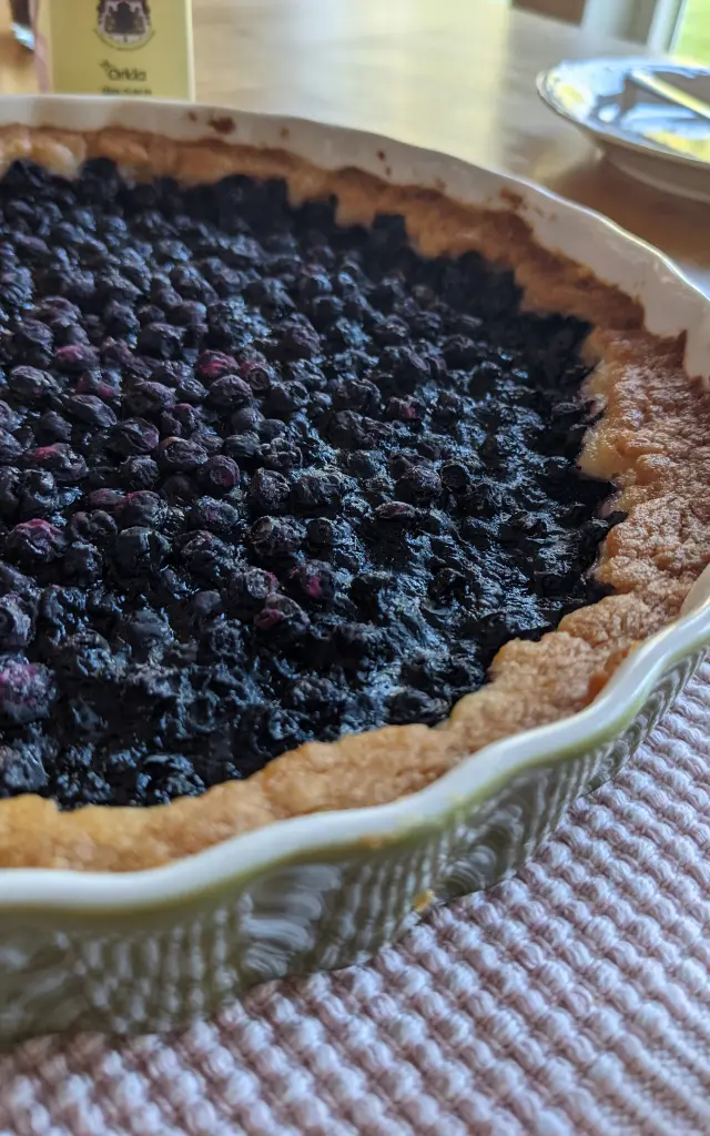 Pexels Vindhya 9577647