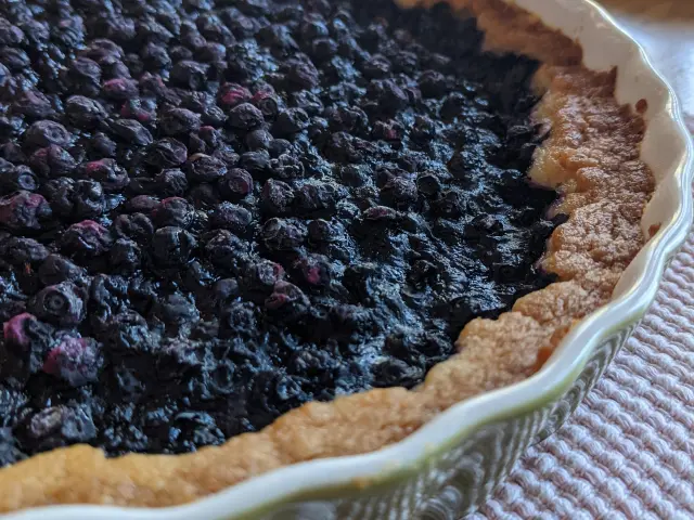 Pexels Vindhya 9577647