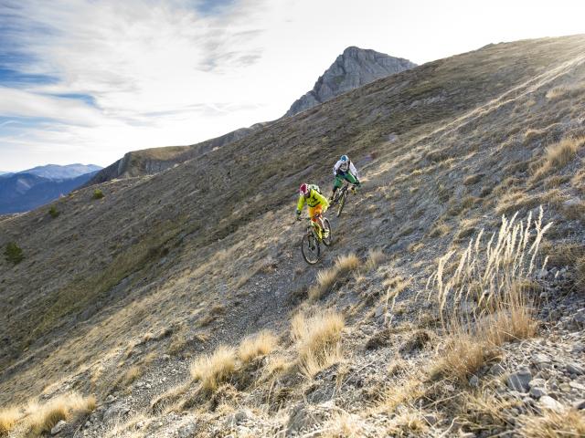 VTT TransVerdon