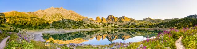allos-2.jpg