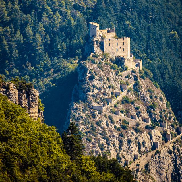 entrevaux-et-chemin-de-ronde7802.jpg