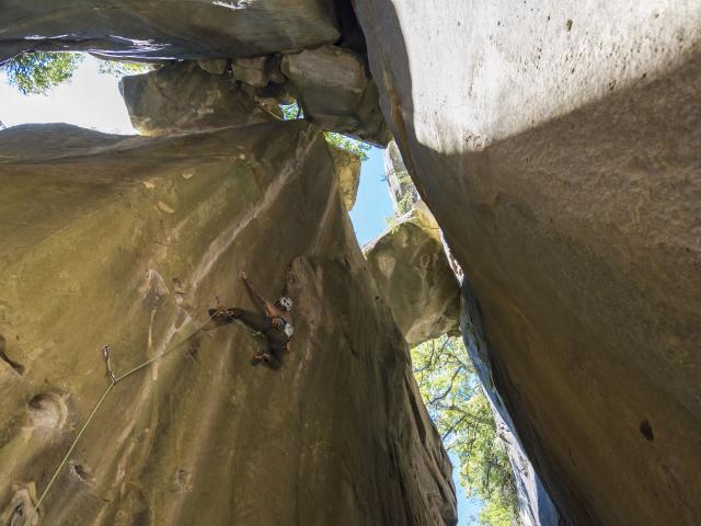 Escalade