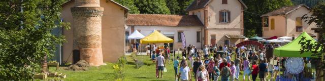 Fête de la lavande