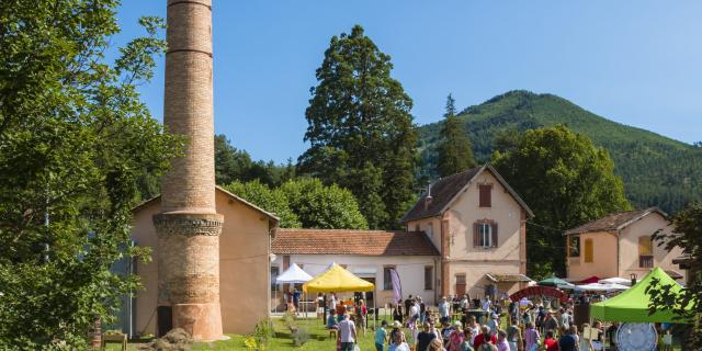 Fête de la lavande