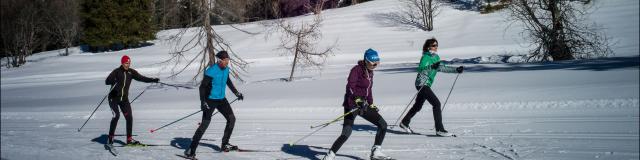 Ski de fond