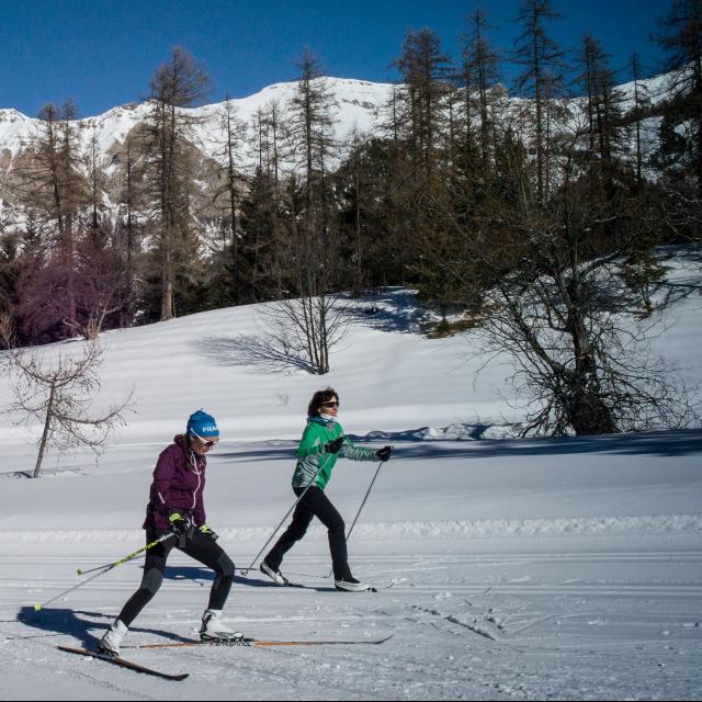 Ski de fond