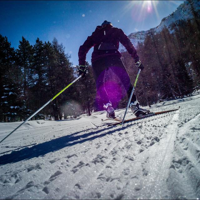 Ski de fond