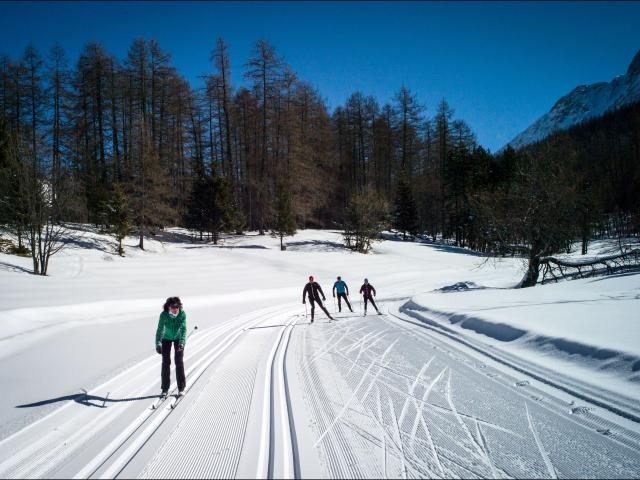 Ski de fond