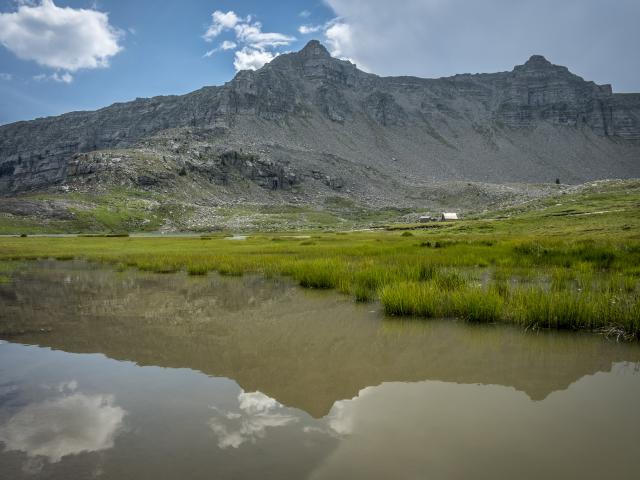 Lac des Lignin