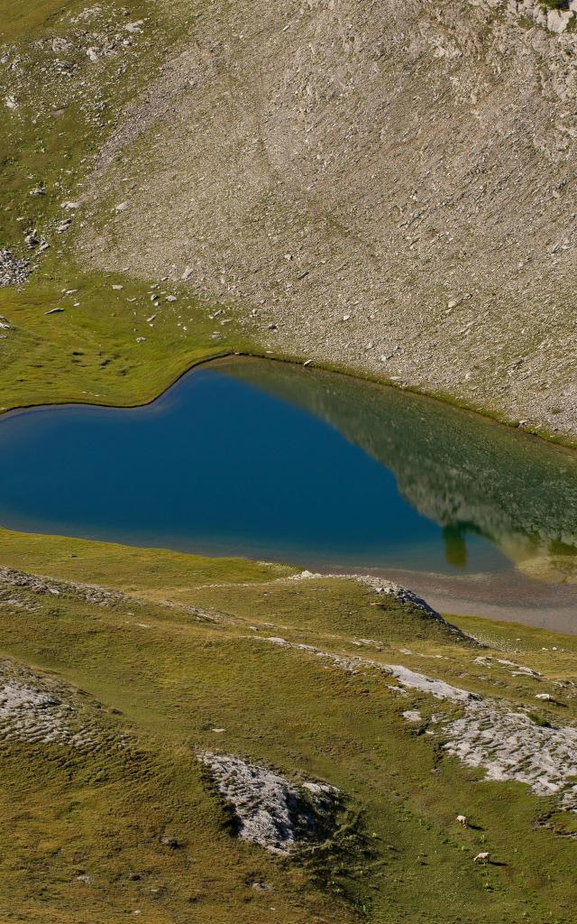 Lacs de l'Encombrette 2336 m, Allos,04, Alpes-de-Haute-Provence, Paca, France // France,Paca, Alpes- de-Haute-Provence, Allos, Lacs de l'Encombrette 2336 m