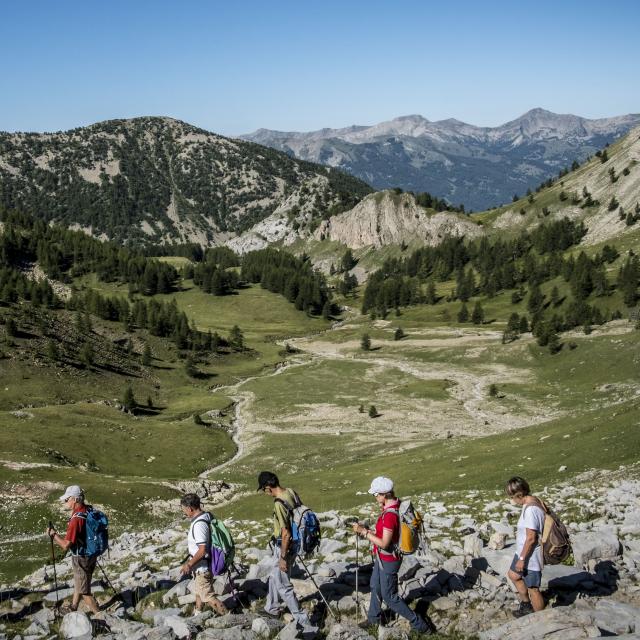 Randonnée Lac Allos