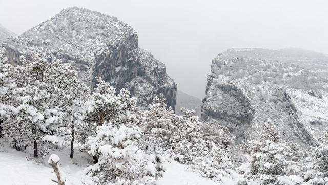 Point sublime sous la neige