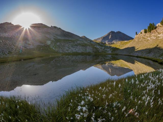 lac-de-lencombrette-avec-les-fleurs.jpg