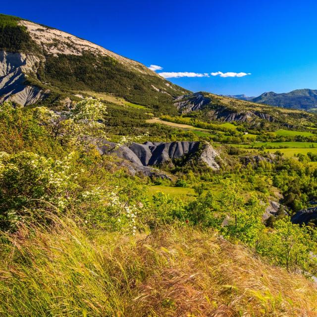 Vallée de l'Asse