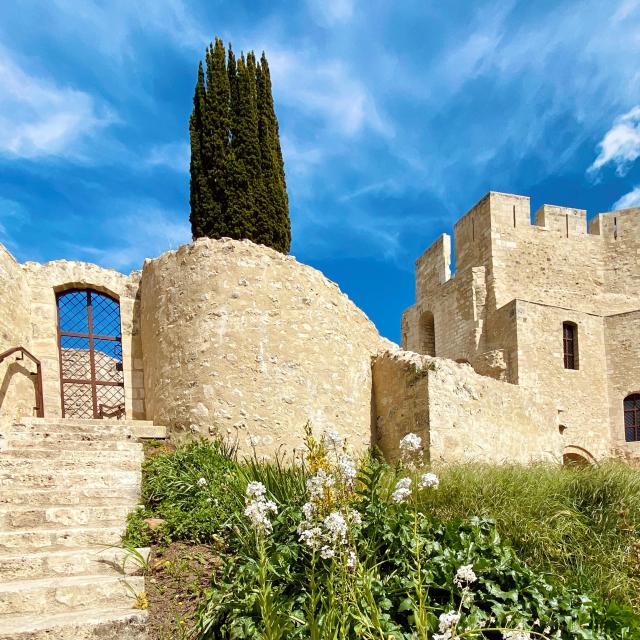 Château de Gisors la Barbacane and Governor's Tower ML Vittori