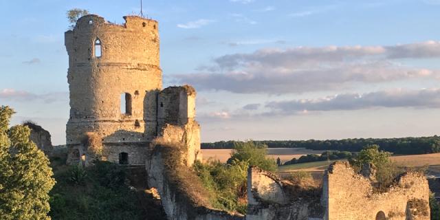 Chateuneufsureptedonjon2heritagehistorical