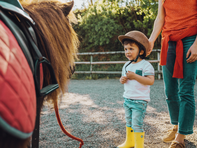 Baby Poney Canva Pro 1