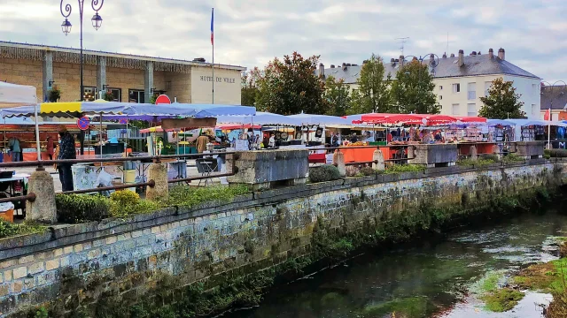 Marche De Gisors 2ml Vittori