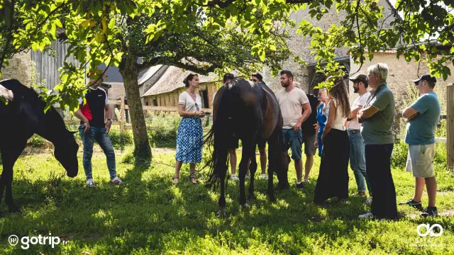 Visite Cidrerie Du Mont Vine