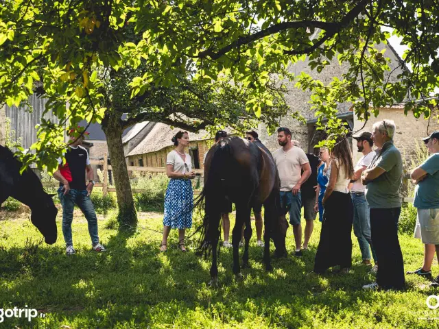 Visite Cidrerie Du Mont Vine